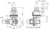 BT30-ER20 Universal Light Angle Head AHL-BT30-B1.55/65G